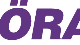 Final i Bussförar-SM 2010
