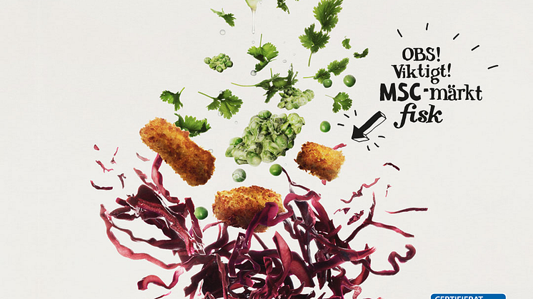 ​​Findus stärker sitt MSC-utbud med ny fiskprodukt