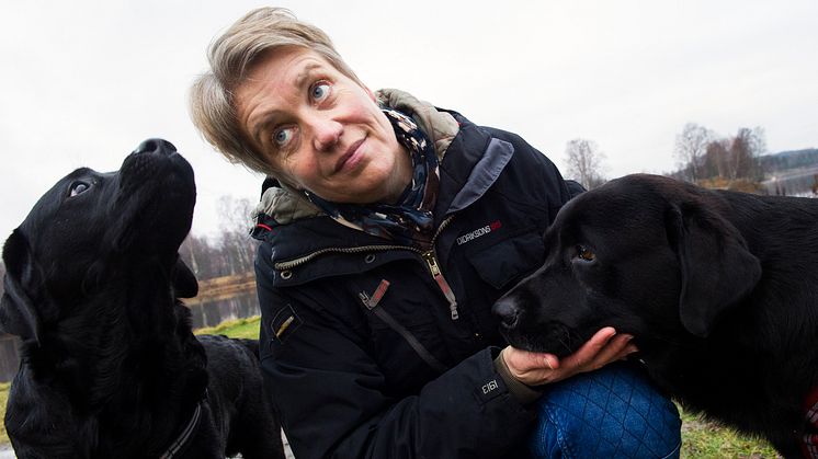 Terapihundarna Jack och Pepper prisas