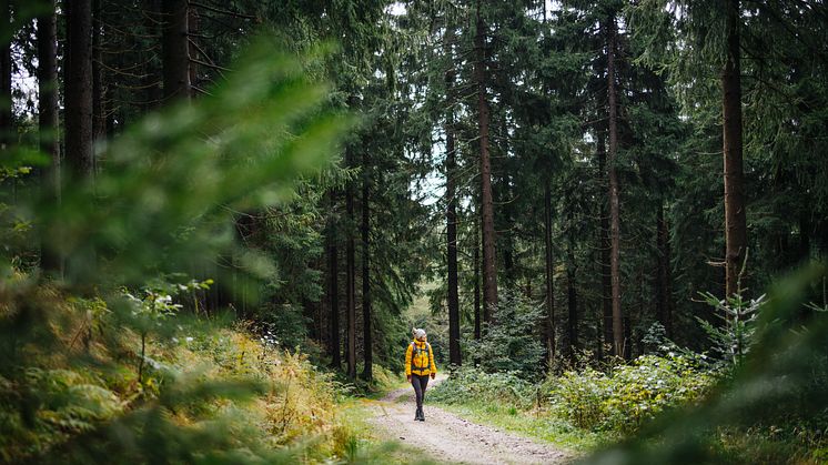 Unterwegs auf dem Kammweg_Foto TVE_Franziska Consolati (2).jpg
