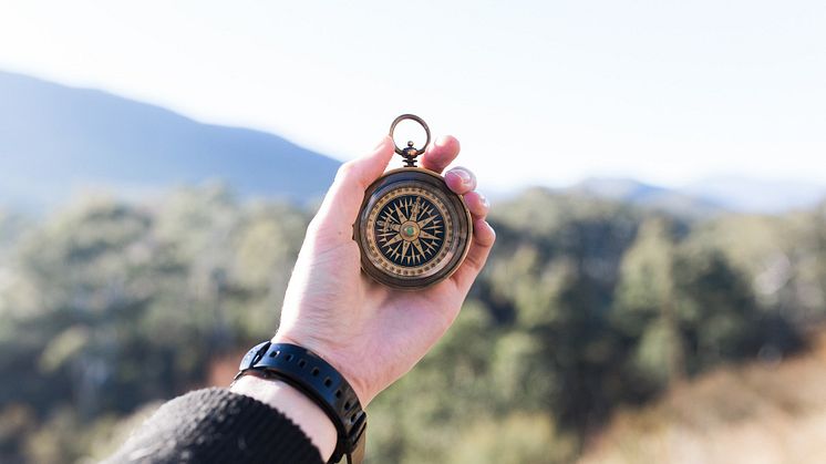 Stora skillnader mellan öst och väst hur man diagnosticerar psykiatriska diagnoser. Bild: Pixabay. CC0. 
