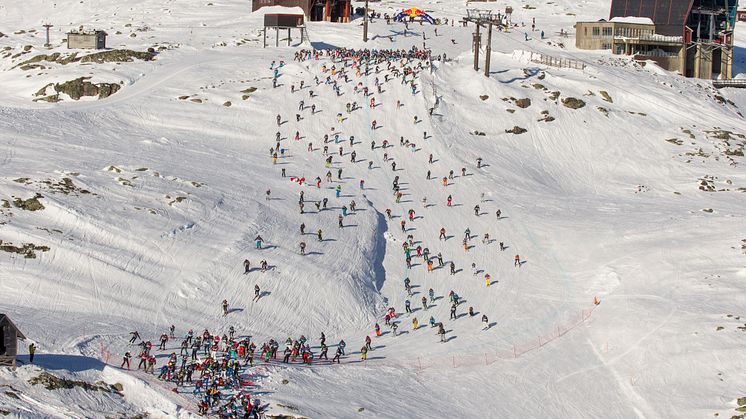 Red Bull Homerun 2014