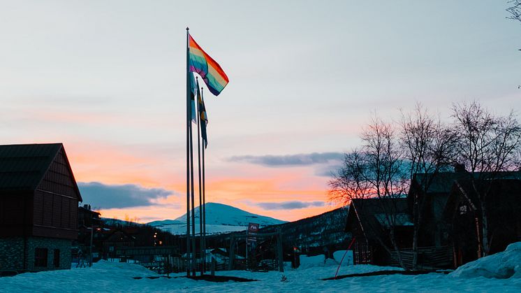 Pride-2 (1).jpg