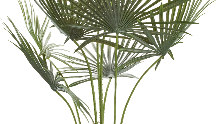 Kunstig plante JAKOB B60xL45xH73cm (199 DKK)
