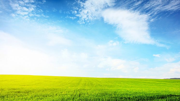 Foto: Shutterstock, NTB Scanpix