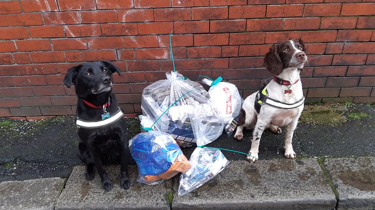 Billy and Ted’s excellent adventure – sniffing out illicit tobacco!