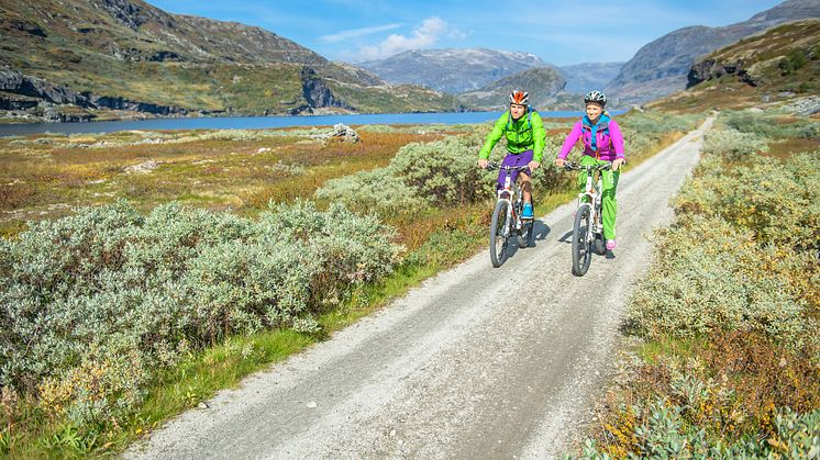 RALLARVEGEN_FINSE1222_VATNAHALSEN_SVERREHJORNEVIK-26689