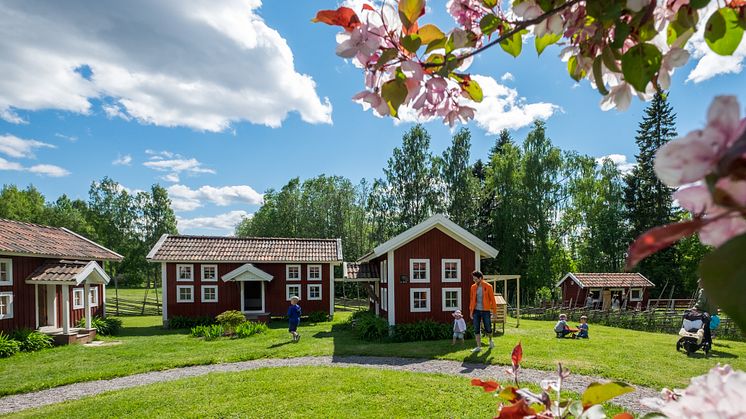 Barnens Stenegård i Järvsö