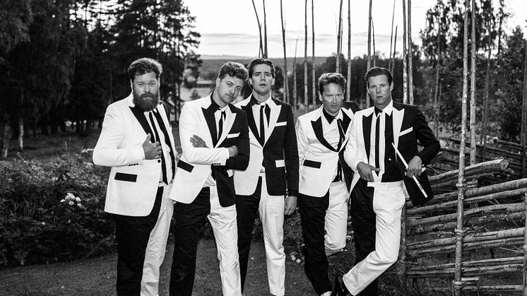 The Hives