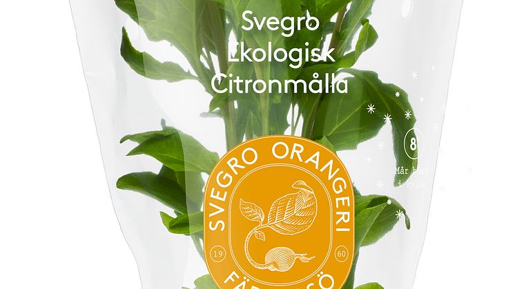 Svegro Vilda Smaker - ekologisk citronmålla