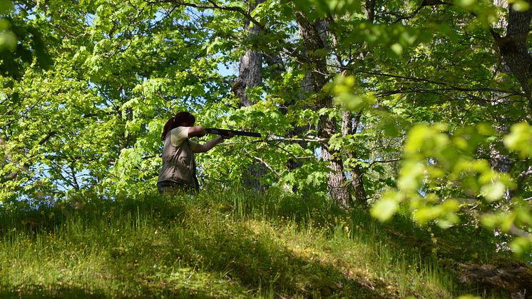 Besök oss på Swedish game fair Tullgarn 24-26 maj