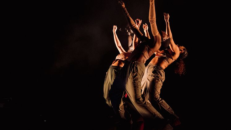 Company Nicolas Huchard - The barefoot diva