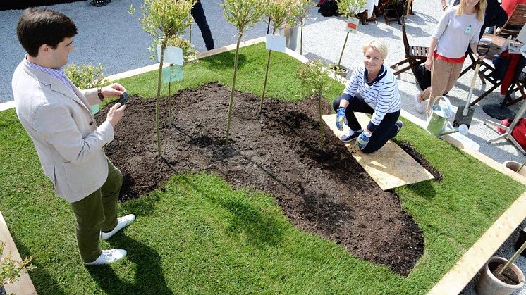 Hillevi Engström i Vi-skogens mini-Afrika i Almedalen