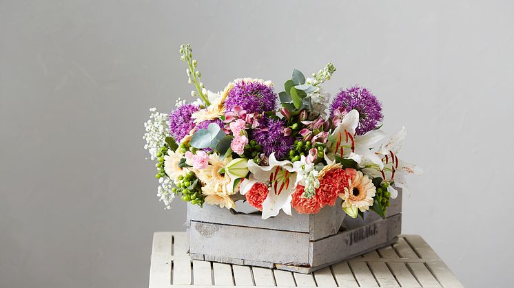 Blomsterlandet fyller 30 år. Det firas i butik i tre veckor (v 45-48) med jubileumspriser och tårtkalas under finalveckan.