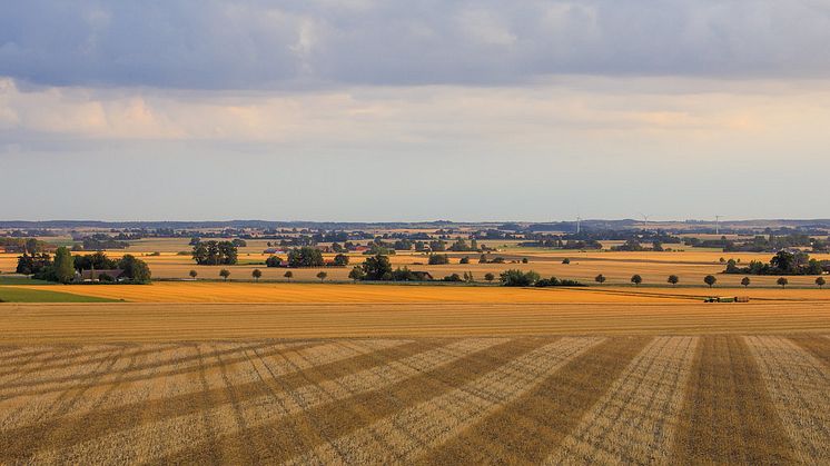 49551840513_e12b6e1d92_b Skörd landskapsbild