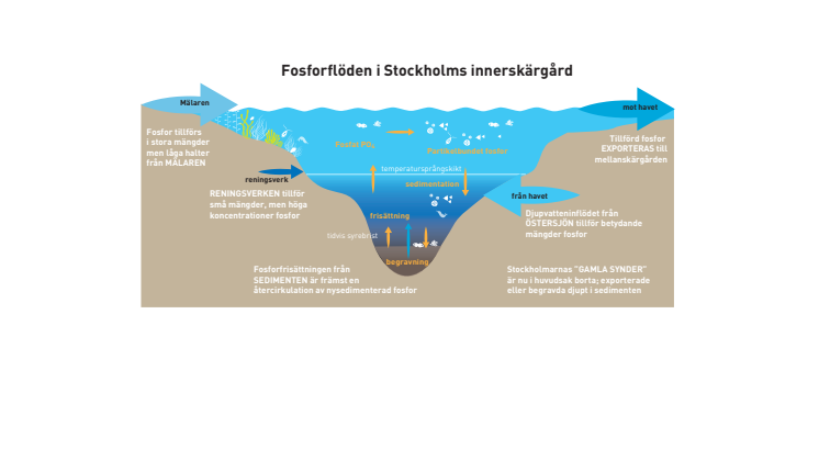 Fosforflöden i Stockholms innerskärgård
