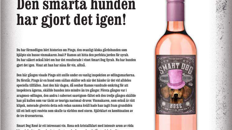Den smarta hunden har gjort det igen! 