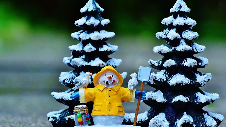 Snöfigur framför två granar.