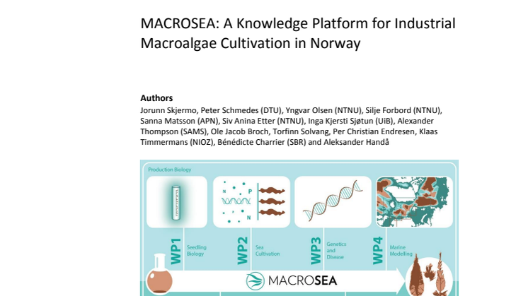 MACROSEA sluttrapport