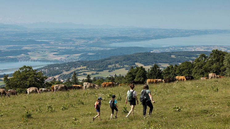 Spitsberg Hike