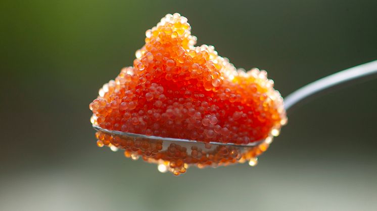 _761