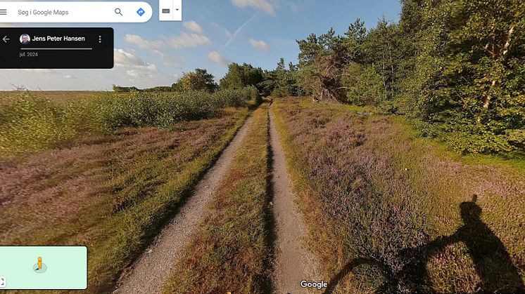 Trailview på Læsø - Google Street View, vej mellem lyng og skov.jpg