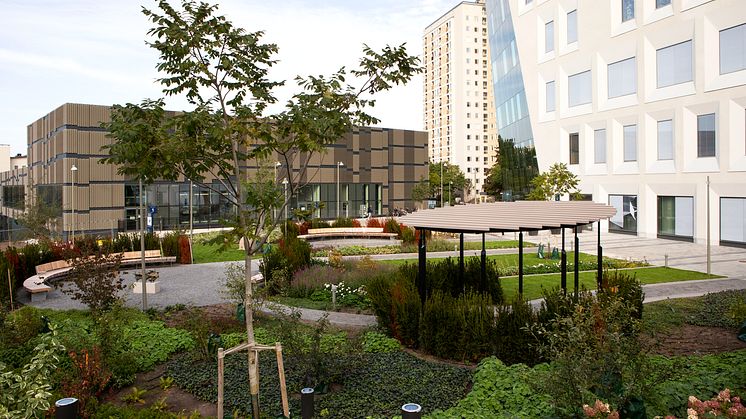 Urban park vid Södersjukhuset