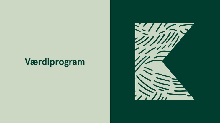 Værdiprogram - Kildedal.pdf