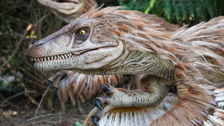 Knuthenborg Safaripark:  Dinosaurier-Wald - Velociraptor
