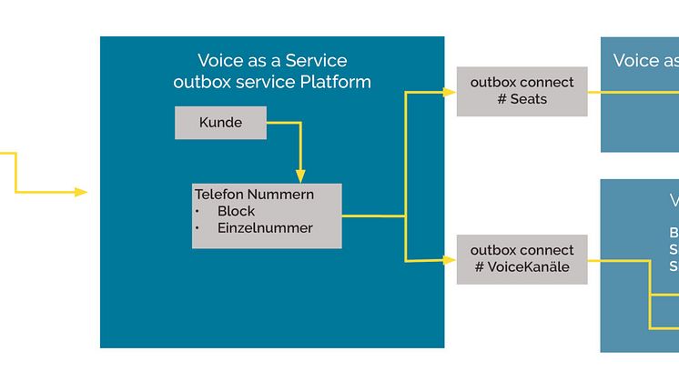 voice-as-a-service-schema