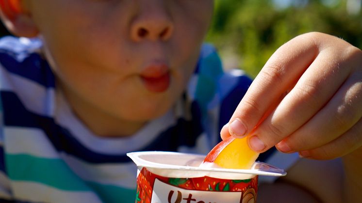 Frukt med Safari yoghurt som dip