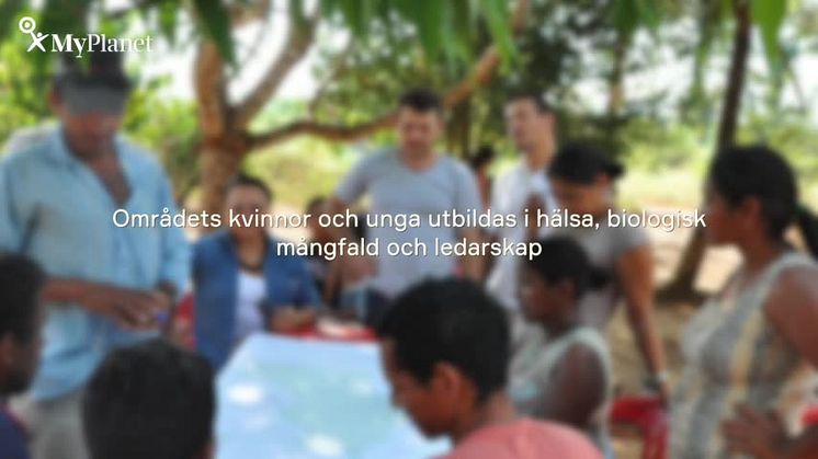 Projektet Jacundá REDD+ i Brasilien