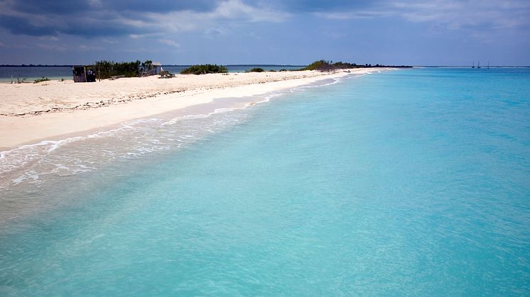 Barbuda, Karibien.