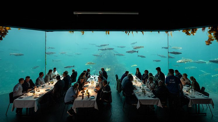 Welcome dinner hosted by the Norwegian Frozen at Sea at the Atlanterhavsparken Aquarium in Ålesund.jpg
