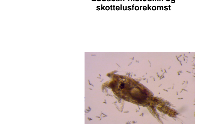 2020_Sluttrapport PROLAKS_ Pilotprosjekt_Zooscanmetodikk og skottelusforekomst