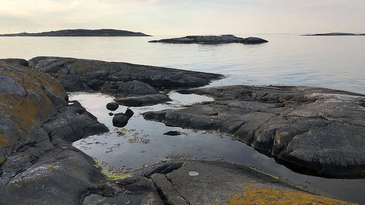 Våra hav utsätts ständigt för påverkan genom övergödning, nedskräpning och försurning. Foto: Pernilla Johansson/HaV