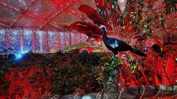 Das Magische Tropenleuchten in der Tropenerlebniswelt Gondwanaland - Foto: Zoo Leipzig 