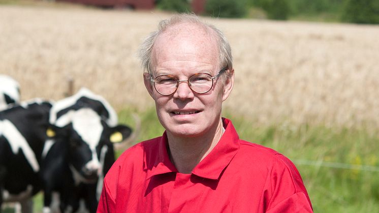 Per Frankelius, forskare vid Linköpings universitet, ifrågasätter i en vetenskaplig artikel om lantbruket verkligen är en stor klimatbov.