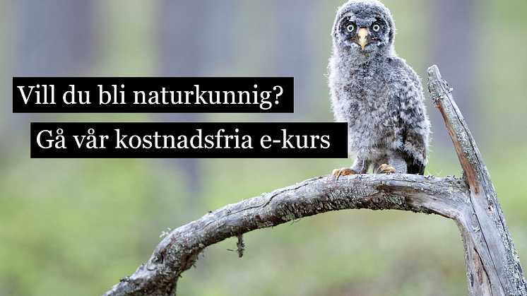Naturkunnig.se
