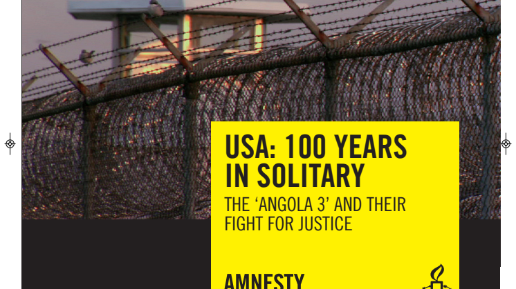 Amnesty report 2011
