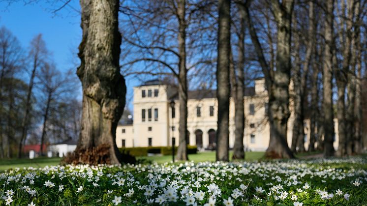 Vår i slottsparken