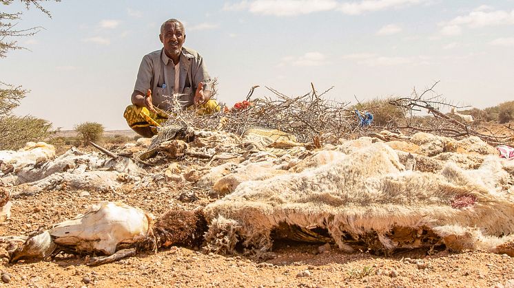 Många människors liv i Bari-regionen i Puntland State har påverkats av den förödande torkan i Somalia och Afrikas horn.