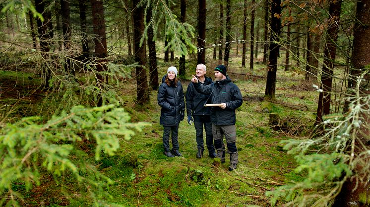 Södras 53.000 skovfamilier dyrker ansvarlig skovdrift, der både sikrer en fornuftig forretning og giver et rigt dyre- og planteliv. Sådan har det altid været, for det er det eneste der giver mening i et selvforsynende kredsløb som Södras. 
