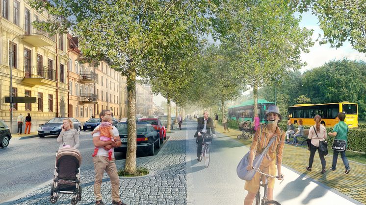 Dags för trädflytt på Västra Boulevarden
