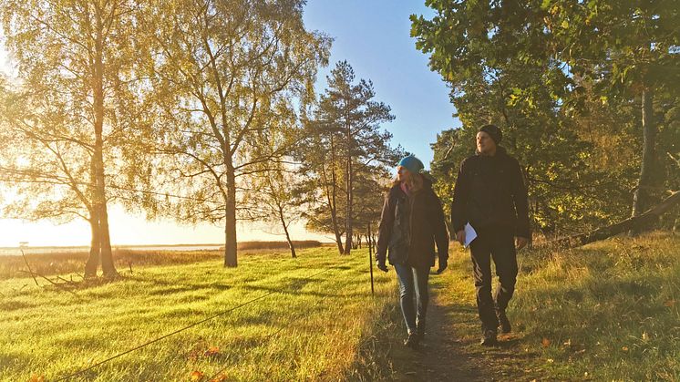 Vattenriketleden får 655 000 kronor i LONA-bidrag