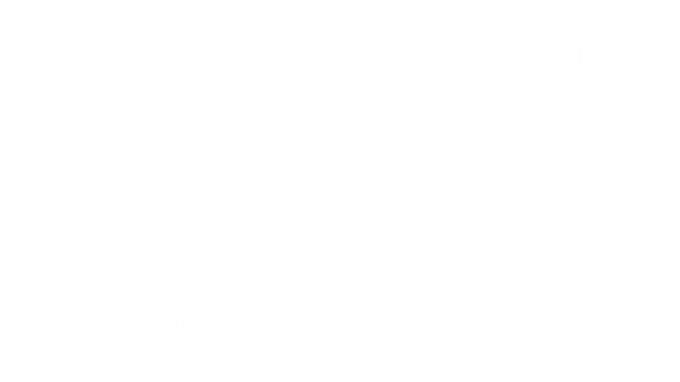 act_value_chain