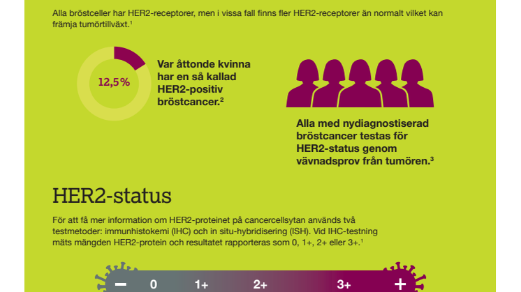 HER2-positiv bröstcancer.pdf
