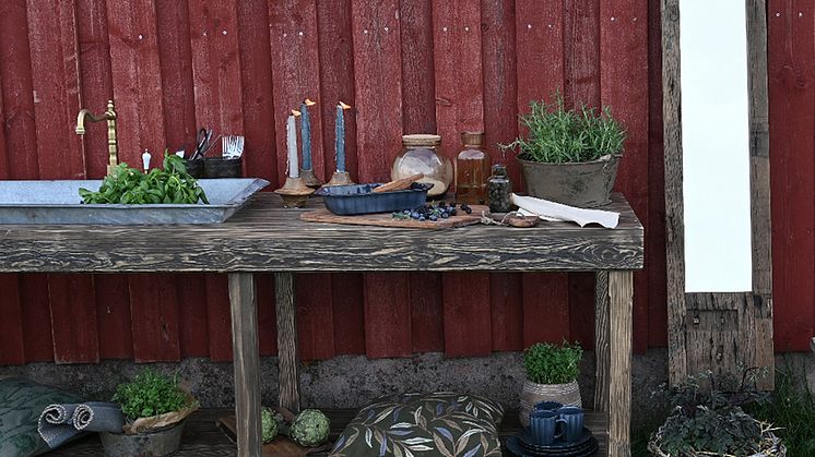 Sommar möter höst