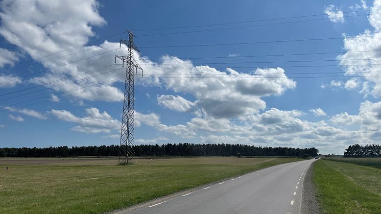 Hushållskunder har låg elnätsavgift