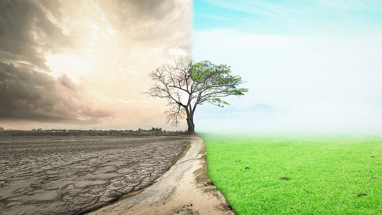 Transport & Environment motverkar arbetet med att minska klimatutsläppen. Foto: iStock